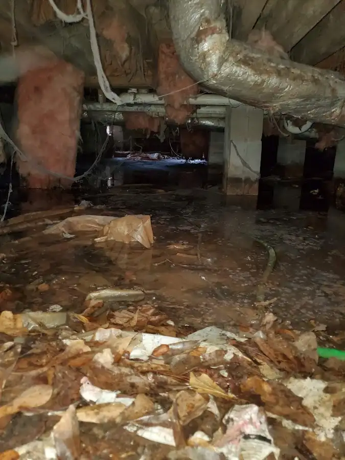 Crawl space flood assessment for Leak Detection & Repair in Linthicum