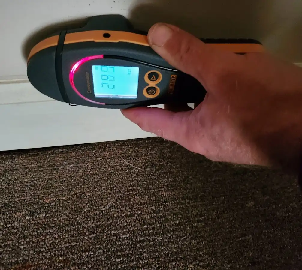 Moisture detection at baseboard during Burst Pipe Cleanup in Linthicum